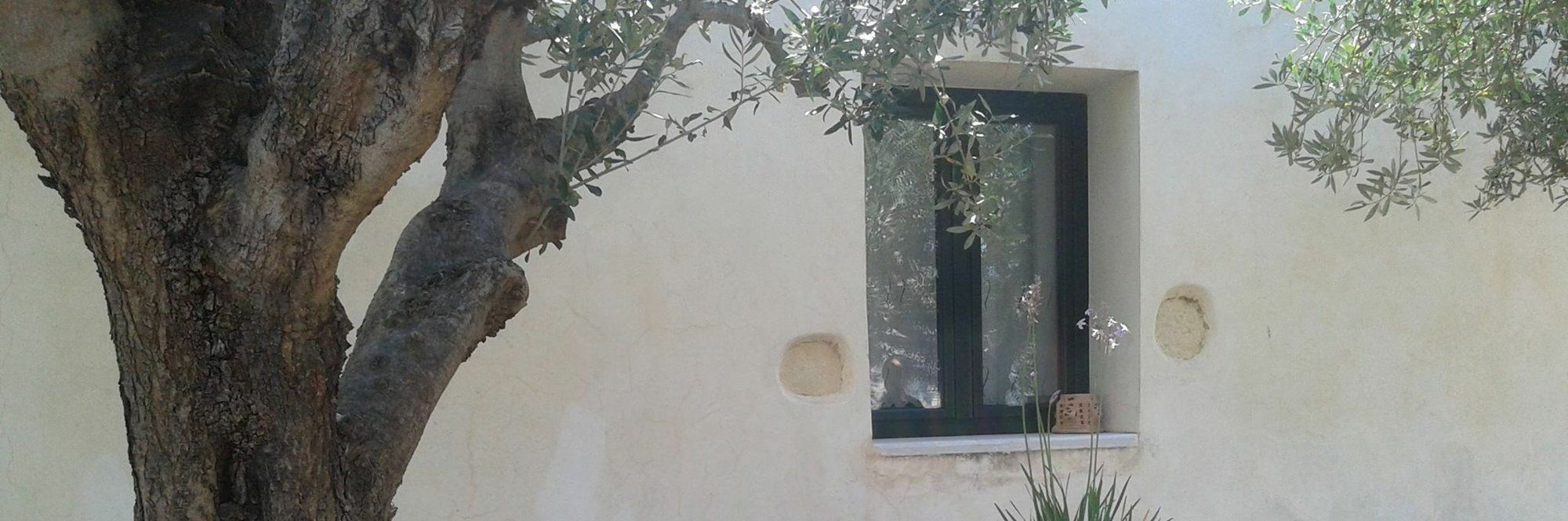 Petra & Elia Villa Megala Chorafia Eksteriør bilde