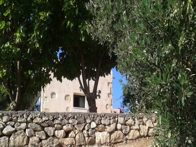 Petra & Elia Villa Megala Chorafia Eksteriør bilde